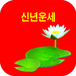 ���� ���� �ų�